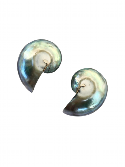 Aretes Nautilus