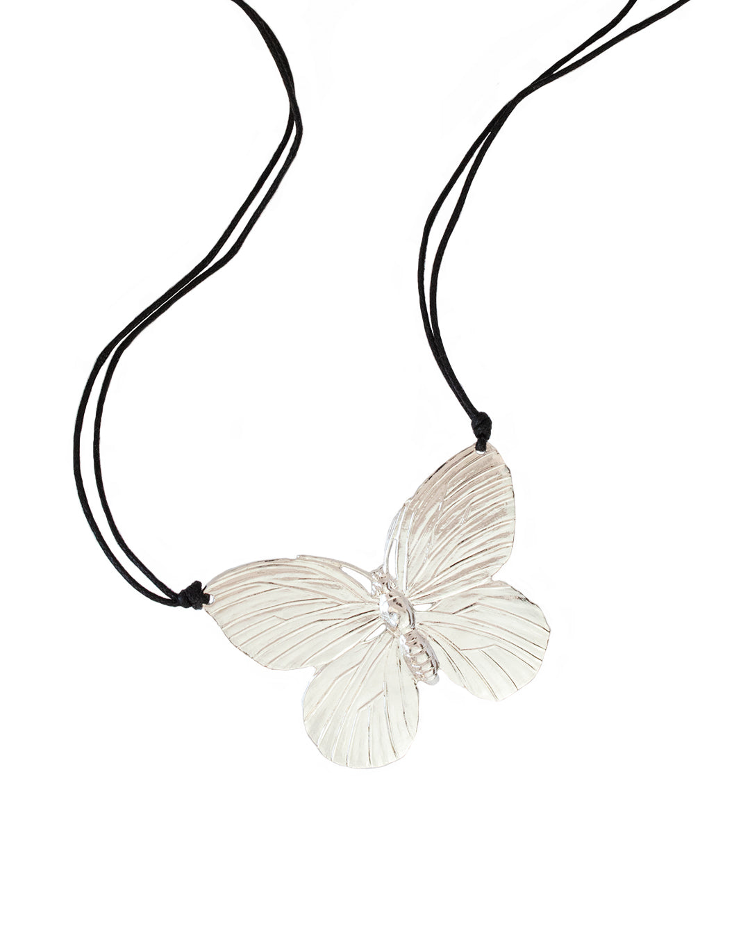 Choker morpho